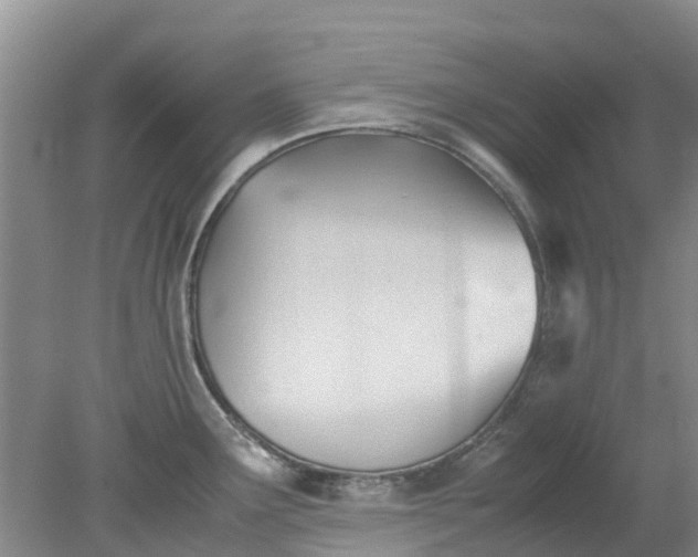 X0000079341291200612011924