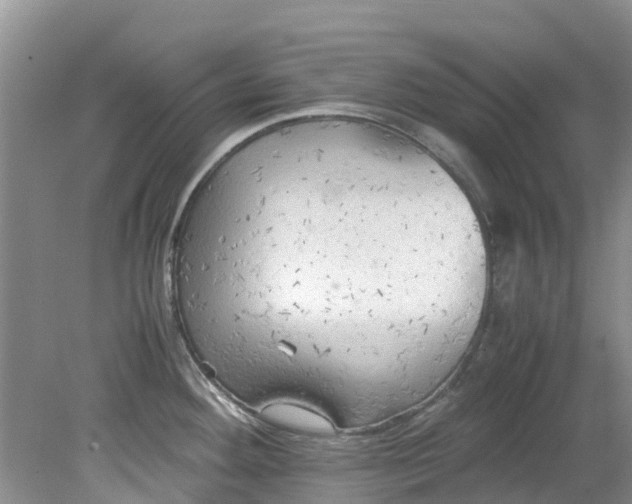 X0000079341292200612011924