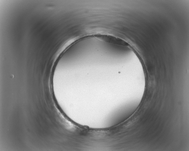 X0000079341293200612011924