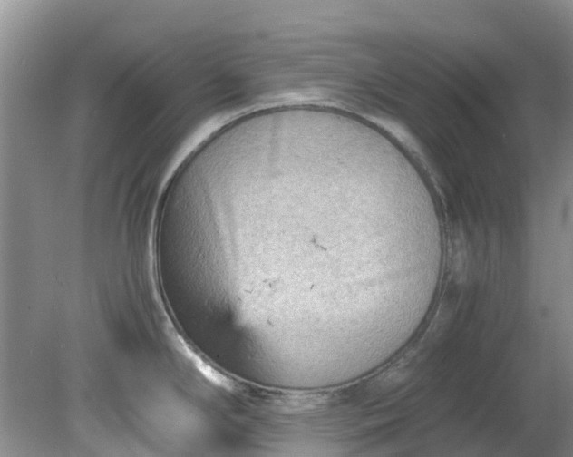 X0000079341294200612011924