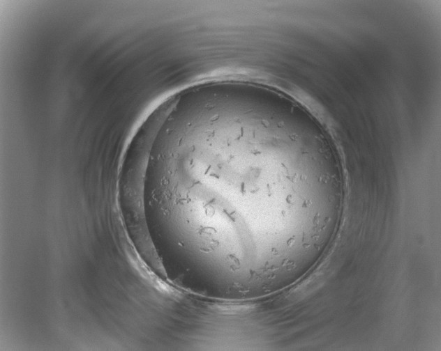 X0000079341296200612011924