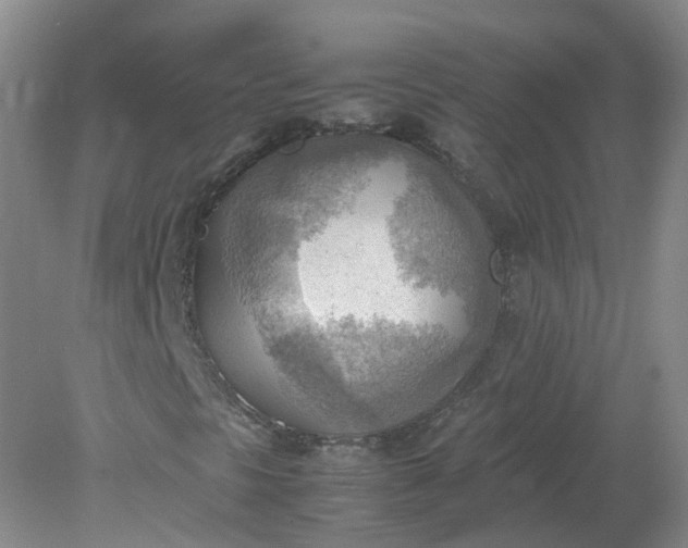 X0000079341297200612011923