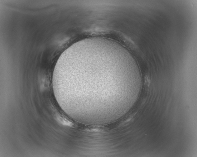 X0000079341300200612011923