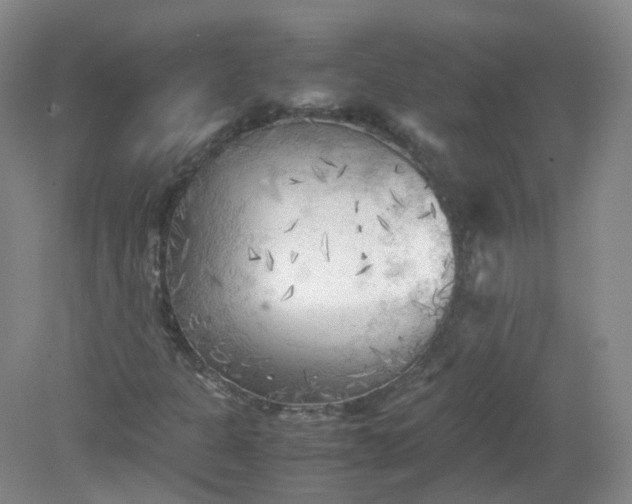 X0000079341301200612011923