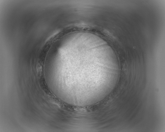 X0000079341302200612011923