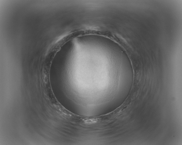 X0000079341303200612011923