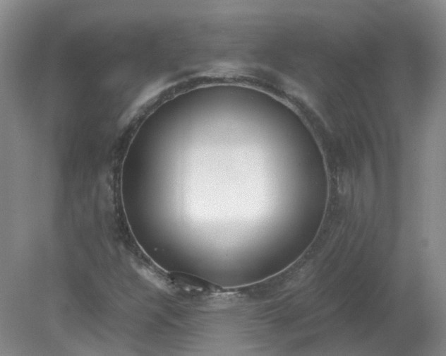 X0000079341304200612011923