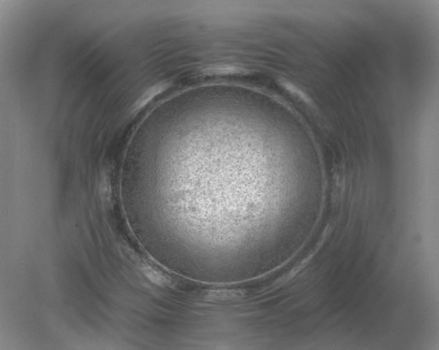 X0000079341305200612011923