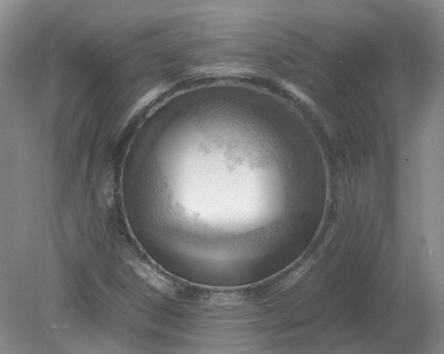 X0000079341306200612011923