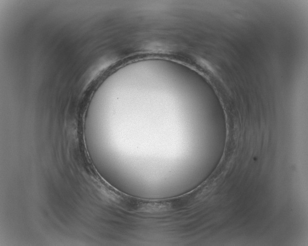 X0000079341307200612011923