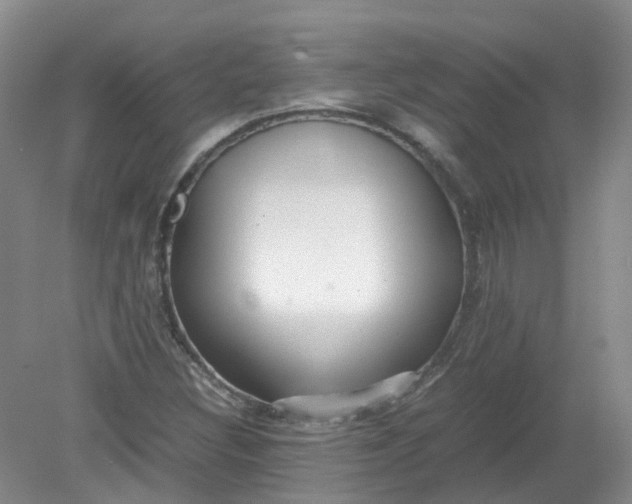 X0000079341308200612011923