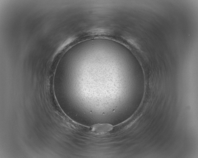 X0000079341309200612011923