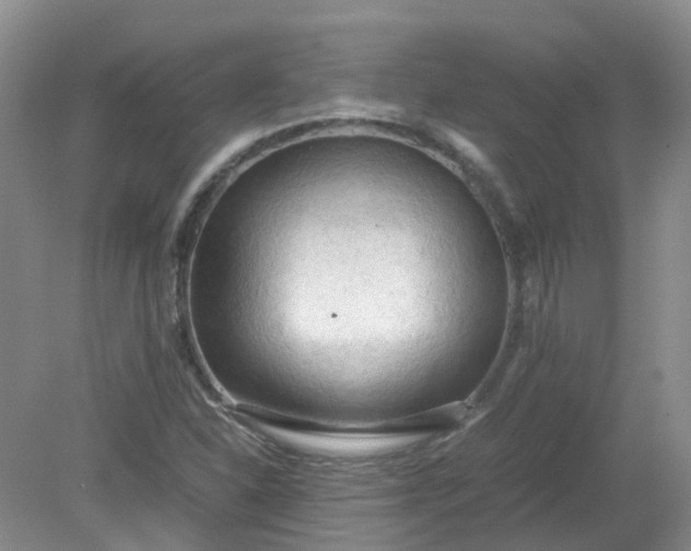 X0000079341310200612011923