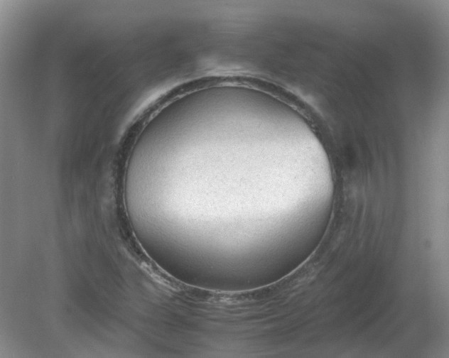 X0000079341311200612011923