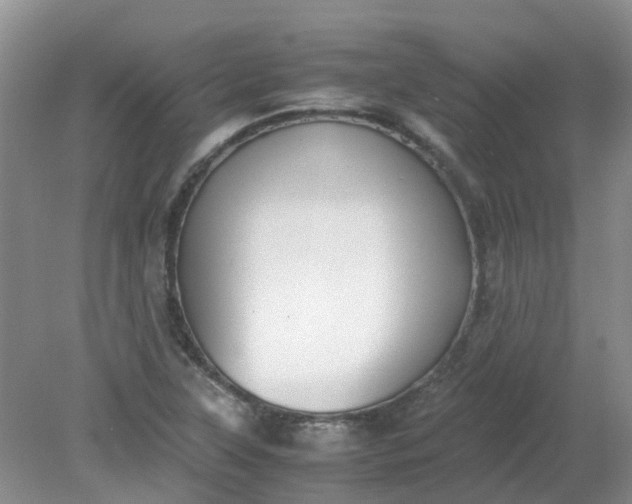 X0000079341315200612011923