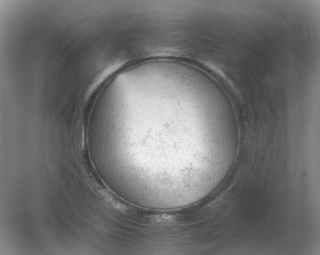 X0000079341317200612011923