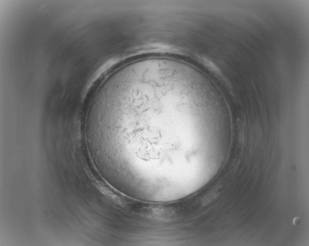 X0000079341318200612011923