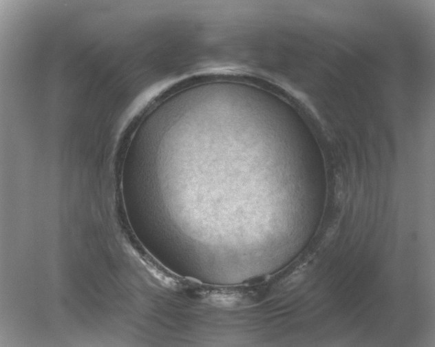 X0000079341319200612011924