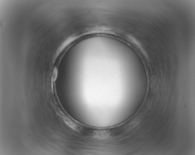 X0000079341320200612011924