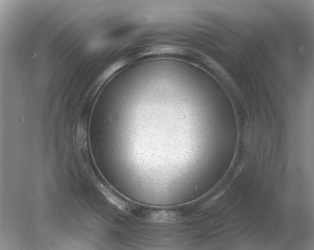 X0000079341321200612011924