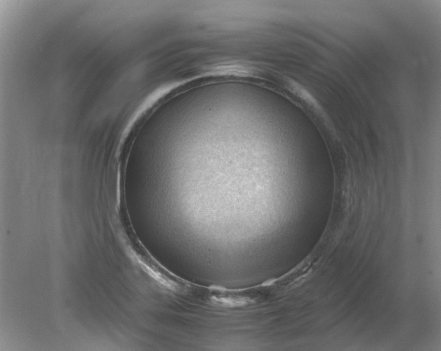 X0000079341323200612011924