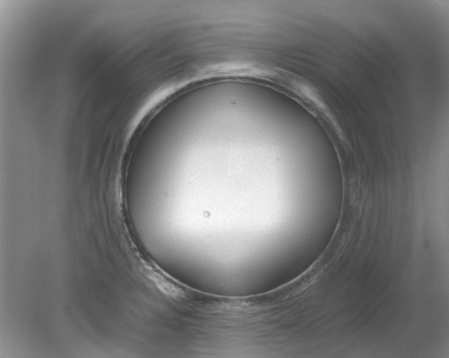 X0000079341328200612011924