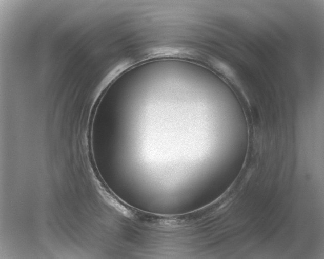 X0000079341330200612011924