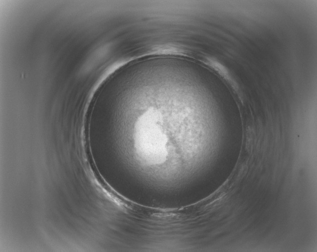 X0000079341331200612011924