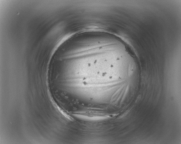 X0000079341333200612011924