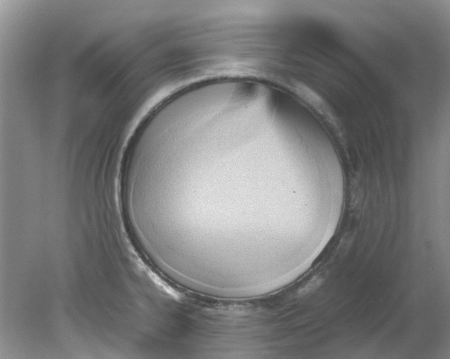 X0000079341334200612011924