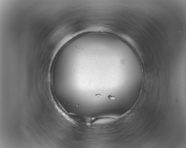 X0000079341335200612011924