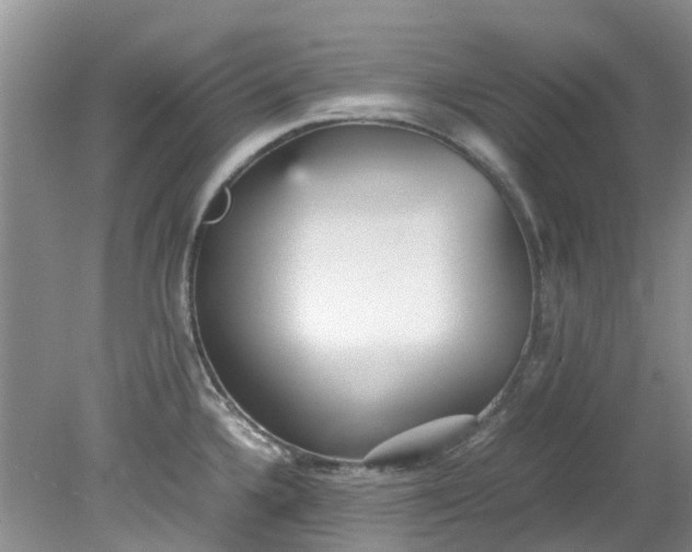 X0000079341336200612011924