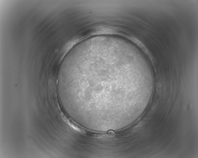 X0000079341337200612011924