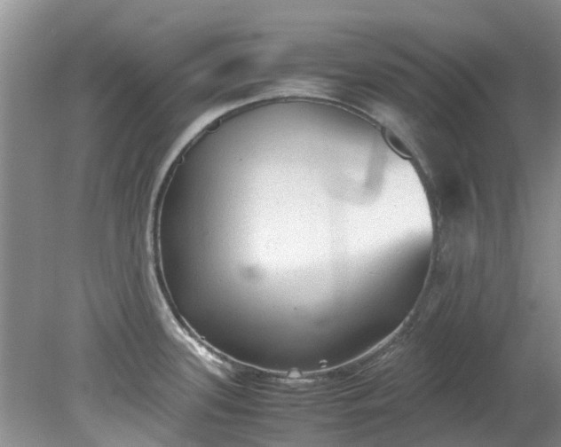 X0000079341339200612011924