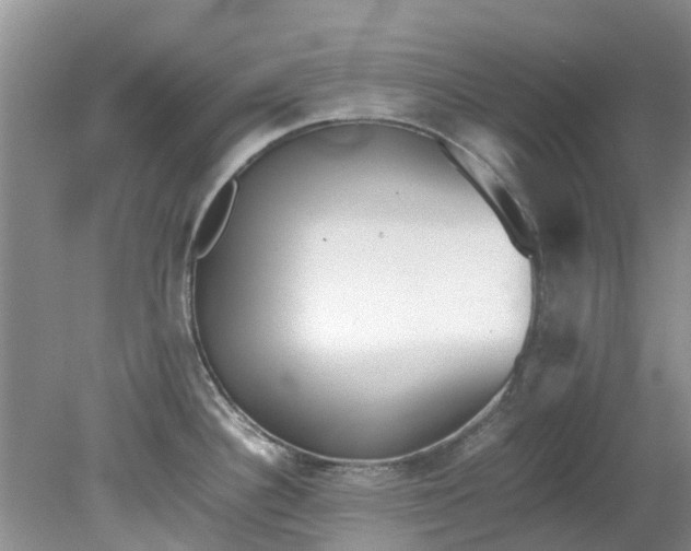 X0000079341340200612011924