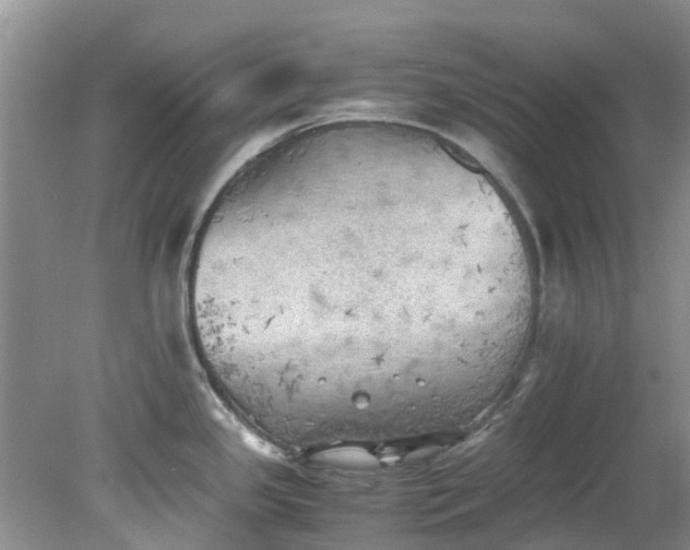 X0000079341341200612011924