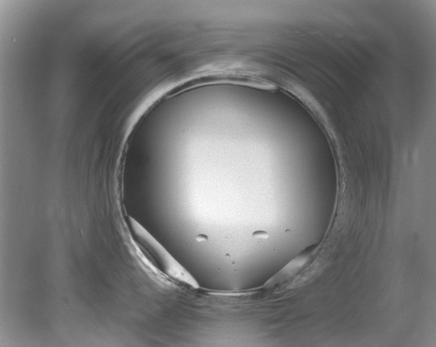 X0000079341344200612011924