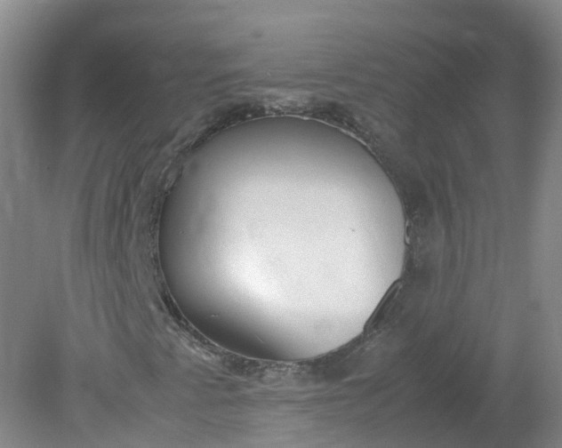 X0000079341345200612011923