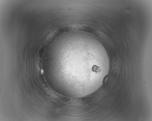 X0000079341346200612011923