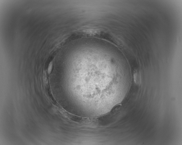 X0000079341347200612011923