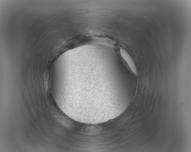 X0000079341348200612011923