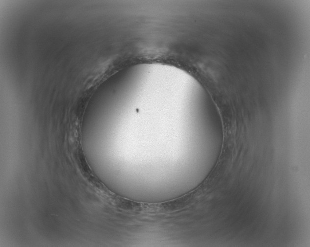 X0000079341349200612011923