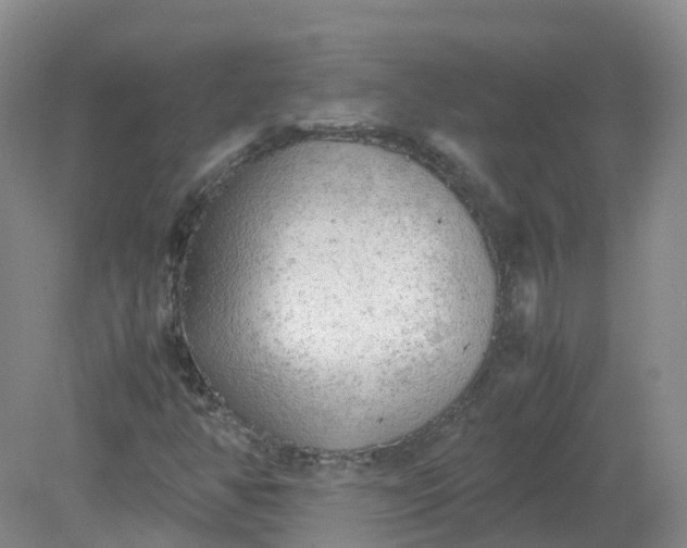 X0000079341350200612011923