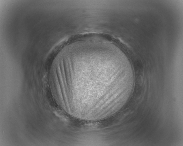 X0000079341351200612011923