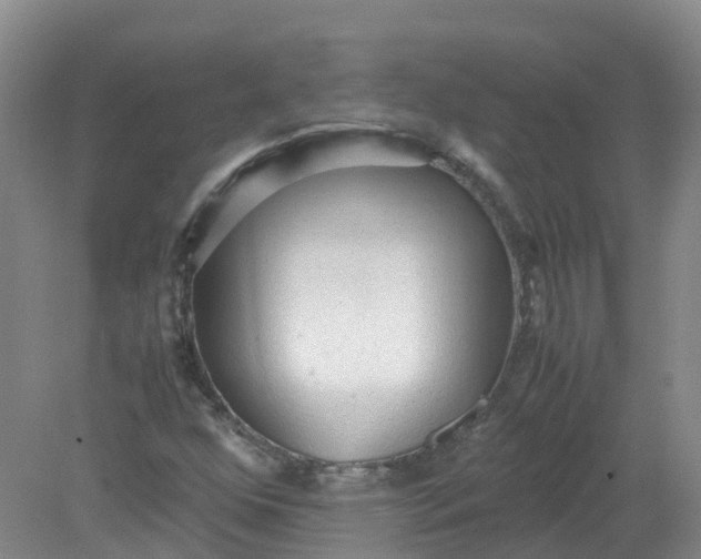 X0000079341352200612011923