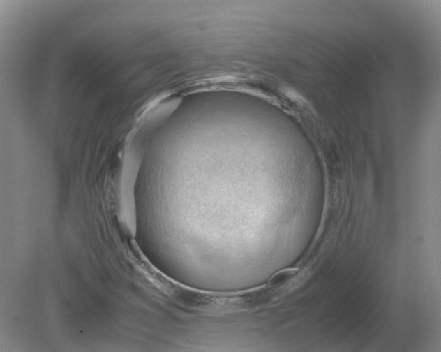 X0000079341353200612011923