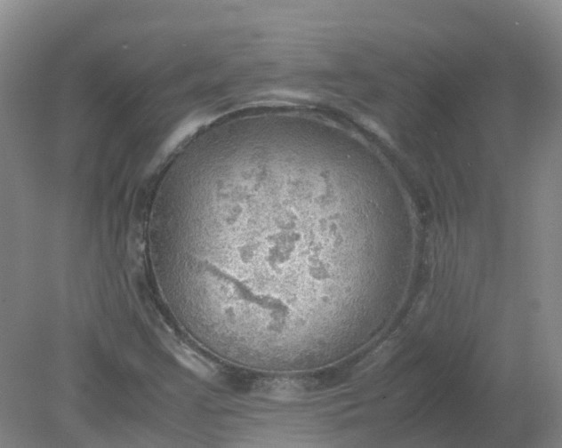 X0000079341355200612011923