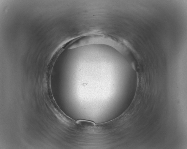 X0000079341356200612011923