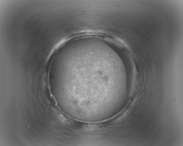 X0000079341357200612011923