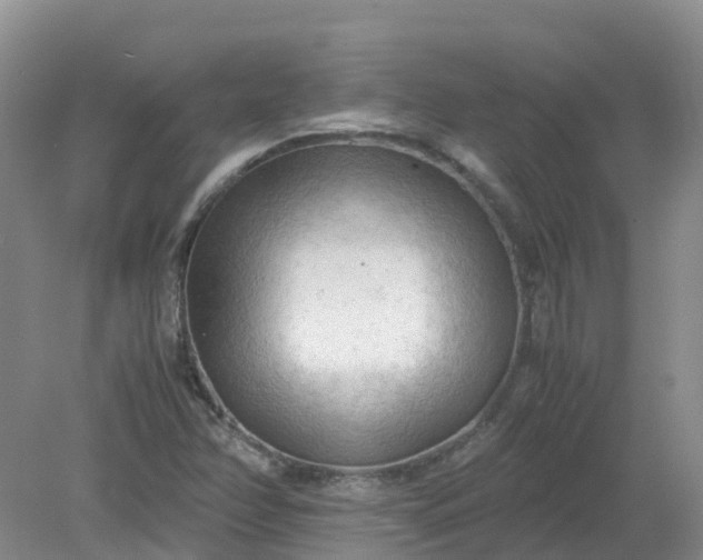 X0000079341358200612011923